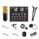 V8 Live Sound Card Set Anchor Recording Microphone,Style: With Gold BM800 Set