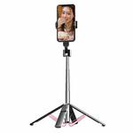 Mobile Phone Live Bracket Bluetooth Telescopic Selfie Tripod, High: 100CM (Stainless Steel)