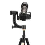 QingZhuangShiDai Q35 SLR Camera Telephoto Lens Bird Watching Tripod Head(Gold)