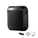 S17 Mini Portable Tour Guide Teaching Loudspeaker with Screen Display(Cool Black)