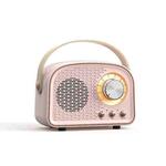 DW21 Vintage Radio BT Speaker Support TF Card/U Disk to Play(Pink)