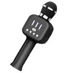 Q12 TWS Multifunctional RGB Light Effect Wireless Bluetooth Microphone with Audio Function(Black)