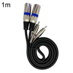 2RCA Male 2XLR Caron Male Speaker Audio Balance Cable, Length: 1m