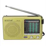 BAIJIALI KK9 Full-band Radio Player Portable Retro Multifunctional Mini Radio(Gold)