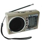 BAIJIALI PX-53U Champagne Gold Multi-band Retro Pointer Radio USB Plug In Card Radios