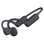 DG-X18 Bone Conduction Bluetooth Headphones Swimming IPX8 Waterproof Sports Headphones, Memory Capacity: 16G(English Black)