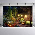 1.25x0.8m Holiday Party Photography Background Halloween Decoration Hanging Cloth, Style: C-1251