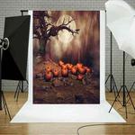 1.25x0.8m Holiday Party Photography Background Halloween Decoration Hanging Cloth, Style: C-1256