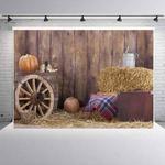 1.25x0.8m Holiday Party Photography Background Halloween Decoration Hanging Cloth, Style: C-1261