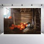 1.25x0.8m Holiday Party Photography Background Halloween Decoration Hanging Cloth, Style: WS-144