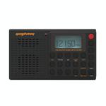 QL-M02 Portable FM/AM/SW Full-Band Digital Display Radio Recorder, Style: Bluetooth Version(Black)