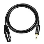 JINGHUA 3.5mm Male To XLR Female Microphone Cable Computer Mixer Audio Cable, Length: 1.5m