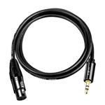 JINGHUA 3.5mm Male To XLR Female Microphone Cable Computer Mixer Audio Cable, Length: 3m