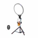 12.6 Inch Full-Screen Selfie Ring Light Tripod Set For Live Stream, Spec: 55cm Bracket