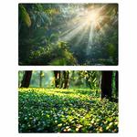 57 x 87cm Double-sided 3D Forest Photography Background Paper Photography Props(03)