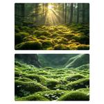 57 x 87cm Double-sided 3D Forest Photography Background Paper Photography Props(05)