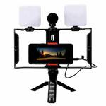 Smartphone Video Rig Kit with LED Fill Light & Microphone All-in-One Mobile Live Streaming(AY-49X)