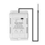 DIY-WT-09 20A Temperature Switch Smart Thermostat, Compatible With Google / Alexa / Yandex Alice / IFTTT, Spec: With 2m Temperature Sensor