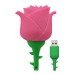 MicroDrive 16GB USB 2.0 Creative Rose U Disk (Pink)