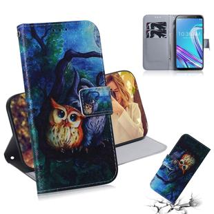 Oil Painting Owl Pattern Coloured Drawing Horizontal Flip Leather Case for Asus Zenfone Max Pro (M1) ZB601KL, with Holder & Card Slots & Wallet