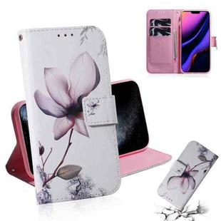 For iPhone 11 Pro 3D Colored Drawing Horizontal Flip Leather Case, with Holder & Card Slot & Wallet (Magnolia)