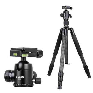 BEXIN W284C H36 Carbon Fiber Professional Photo Tripod for DSLR Camera