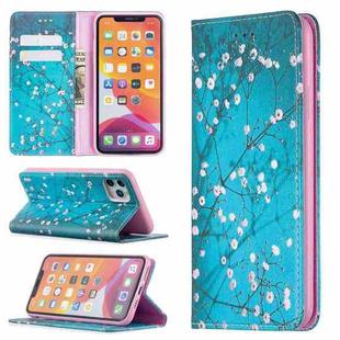 For iPhone 11 Pro Max Colored Drawing Pattern Invisible Magnetic Horizontal Flip PU Leather Case with Holder & Card Slots & Wallet (Plum Blossom)