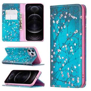 For iPhone 12 / 12 Pro Colored Drawing Pattern Invisible Magnetic Horizontal Flip PU Leather Case with Holder & Card Slots & Wallet(Plum Blossom)