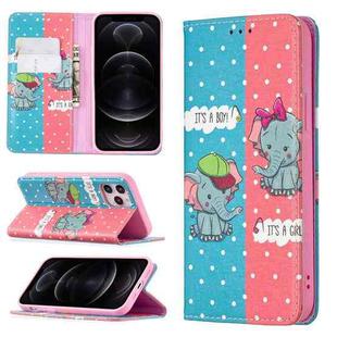 For iPhone 12 / 12 Pro Colored Drawing Pattern Invisible Magnetic Horizontal Flip PU Leather Case with Holder & Card Slots & Wallet(Elephant)