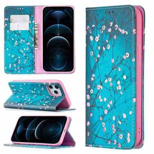 For iPhone 12 Pro Max Colored Drawing Pattern Invisible Magnetic Horizontal Flip PU Leather Case with Holder & Card Slots & Wallet(Plum Blossom)