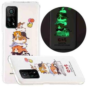 For Xiaomi Mi 10T 5G & 10T Pro 5G Luminous TPU Mobile Phone Protective Case(Cat)