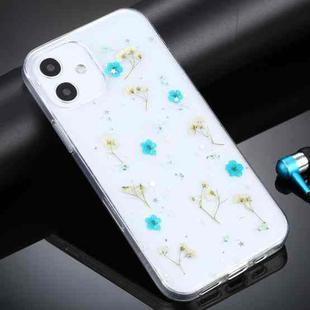 For iPhone 11 Gypsophila Flowers Pattern TPU Protective Case (Green)