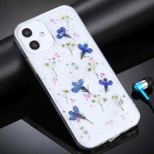 For iPhone 11 Gypsophila Flowers Pattern TPU Protective Case (Blue)