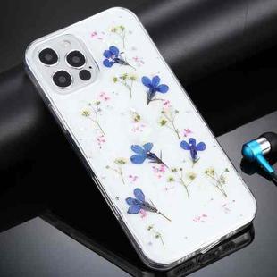 For iPhone 11 Pro Gypsophila Flowers Pattern TPU Protective Case (Blue)