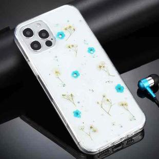 For iPhone 11 Pro Max Gypsophila Flowers Pattern TPU Protective Case (Green)
