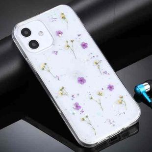 For iPhone 12 mini Gypsophila Flowers Pattern TPU Protective Case (Purple)