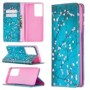 For Samsung Galaxy S20 Ultra Colored Drawing Pattern Invisible Magnetic Horizontal Flip PU Leather Case with Holder & Card Slots & Wallet(Plum Blossom)