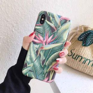 For iPhone XR Painted IMD Matte TPU Phone Protective Case(Banana Leaf)