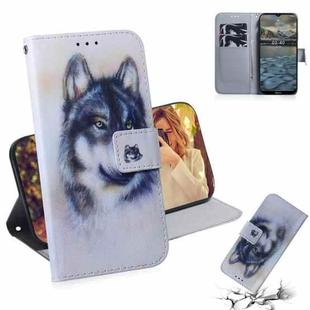 For Nokia 2.4 Coloured Drawing Horizontal Flip Leather Case, with Holder & Card Slots & Wallet(White Wolf)