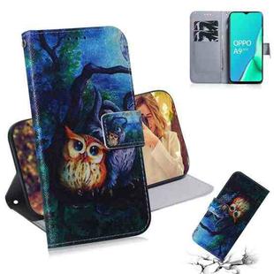For OPPO A11x / A11 / A5 (2020) / A9 (2020) Coloured Drawing Horizontal Flip Leather Case, with Holder & Card Slots & Wallet(Oil Painting Owl)