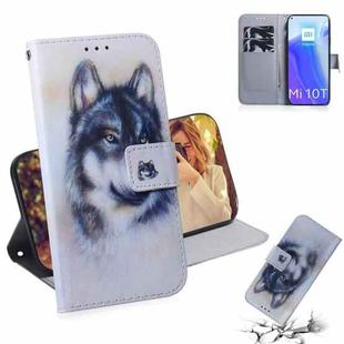 For Xiaomi Mi 10T / 10T Pro 5G Coloured Drawing Horizontal Flip Leather Case, with Holder & Card Slots & Wallet(White Wolf)