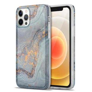 TPU Gilt Marble Pattern Protective Case For iPhone 12 Pro Max(Light Blue)