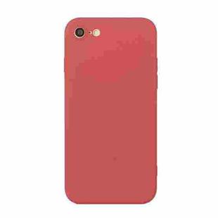 For iPhone SE 2022 / SE 2020 / 8 / 7 Straight Edge Solid Color TPU Shockproof Case(Hawthorn Red)