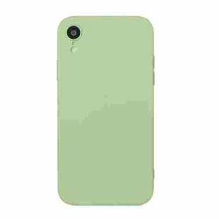 For iPhone XR Straight Edge Solid Color TPU Shockproof Case(Matcha Green)