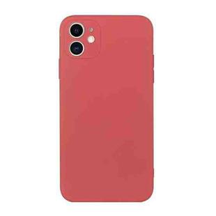 For iPhone 11 Straight Edge Solid Color TPU Shockproof Case (Hawthorn Red)