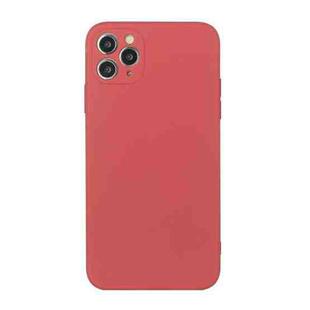 For iPhone 11 Pro Straight Edge Solid Color TPU Shockproof Case (Hawthorn Red)