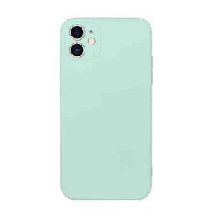 For iPhone 12 mini Straight Edge Solid Color TPU Shockproof Case (Light Cyan)