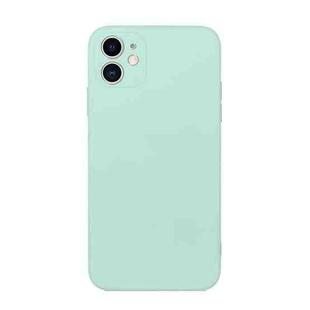 For iPhone 12 Straight Edge Solid Color TPU Shockproof Case(Light Cyan)