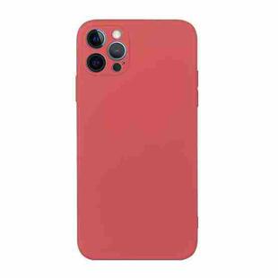For iPhone 12 Pro Max Straight Edge Solid Color TPU Shockproof Case(Hawthorn Red)