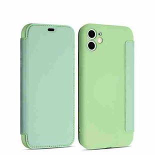 For iPhone 11 Imitate Liquid Silicone Horizontal Flip Leather Case with Card Slots (Green)